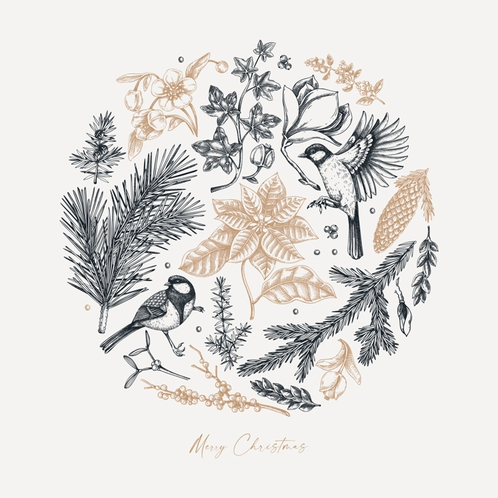 Merry Christmas card template. Evergreen plants, flower, bird sketches. Winter vector design. Hand-drawn botanical illustrations. NOT AI generated image